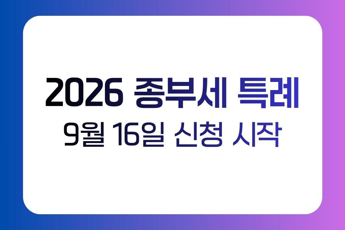 일시적 2주택·상속주택·지방 저가주택
